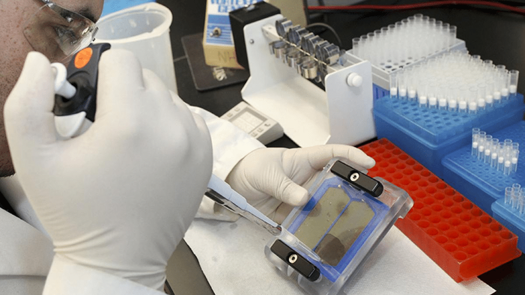 What Information Can Be Learned from a Domestic DNA Kit