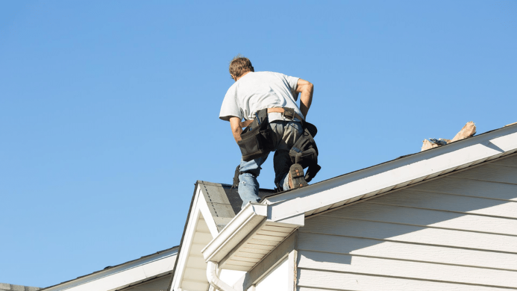 What to Expect from a Roofing Contractor in Maple Grove for Inspections