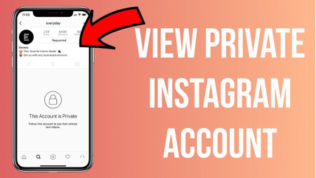 How to see private Instagram account followers without following?