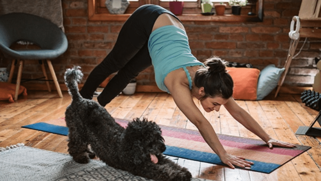 4 Ways to Exercise Your Canine in Your Condo Building