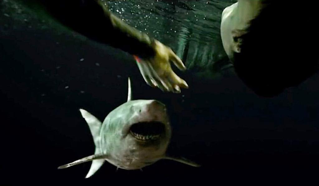 47 Meters Down Uncaged Blu Ray: Survival Movie Experience