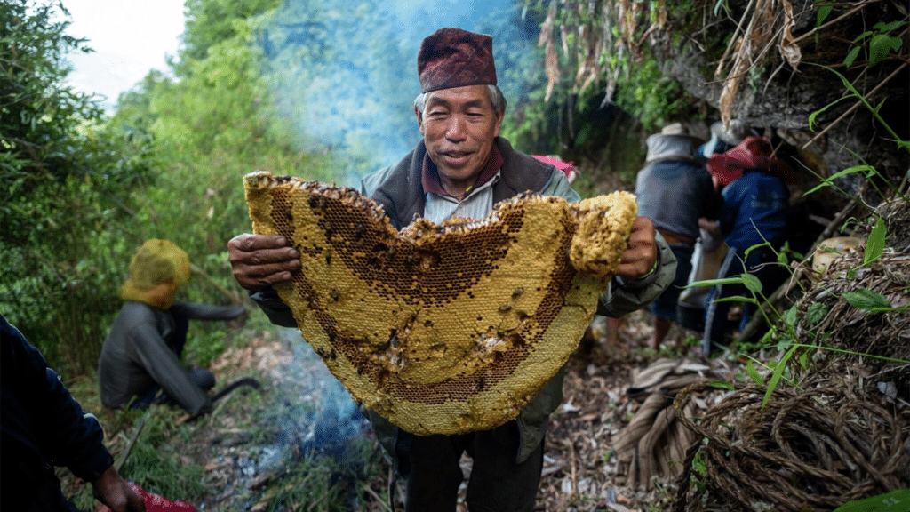 Honey Hunters and the Culture of Honey Hunting in Nepal
