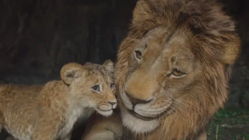 Mufasa For Rent At Home: The Lion King is a Must-See
