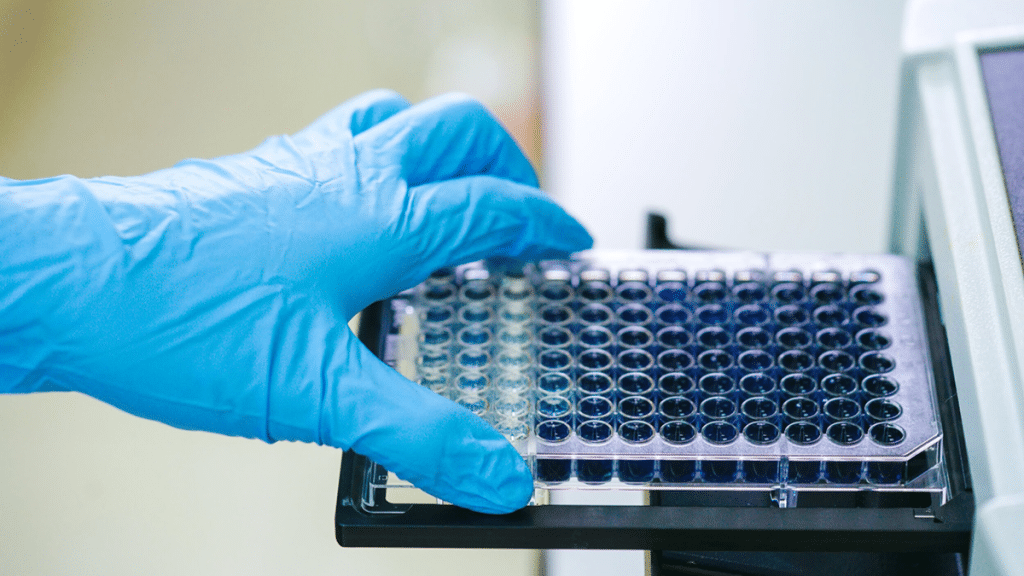 Exploring the Versatile World of Microplate Fluorometers in Modern Research