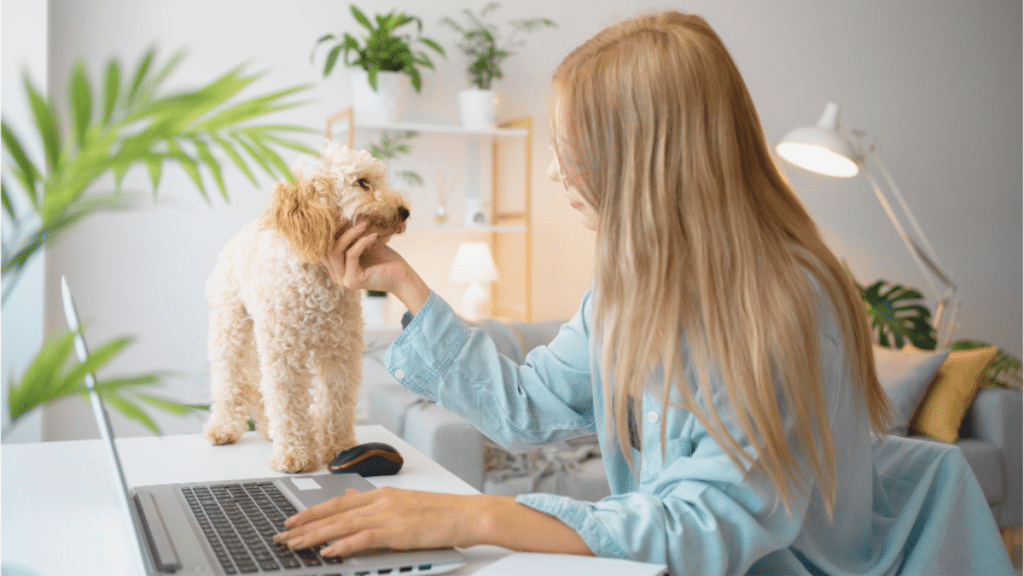 Innovative Technologies in Dog Care How Digital Solutions are Changing Pet Care