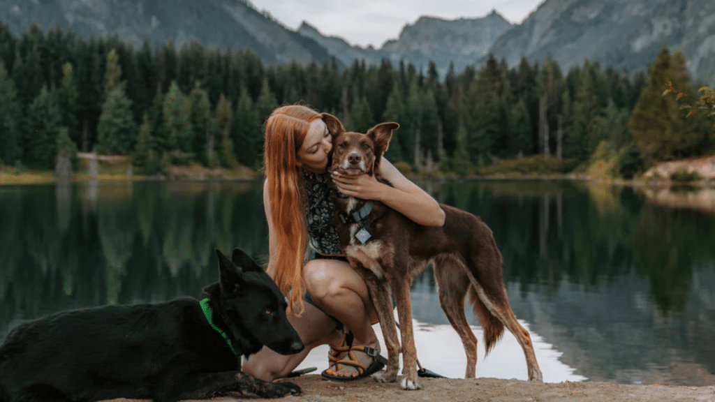 Shared Joy Socialization for Dogs & People