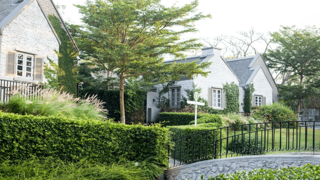 Transform Your Backyard with These Simple Landscaping Tips
