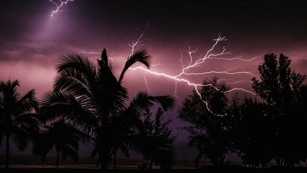 Florida Heavy Rains & Water Damage Why Professional Mold Testing & Remediation is Necessary
