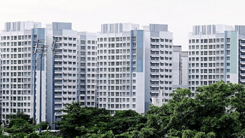 Side Effects of Mold Exposure in Singapore Homes