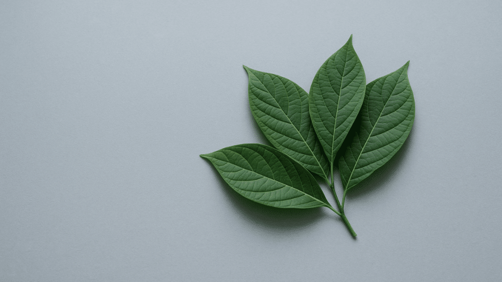 The Healing Power of Ancient Plant Rituals for Wellness Seekers