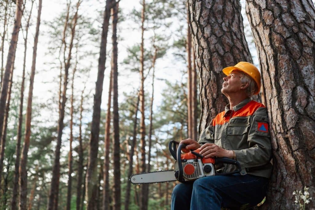 7 Ways Arborist Insurance Safeguards Your Business and Reputation Image 1 of 7 Ways Arborist Insurance Safeguards Your Business and Reputation