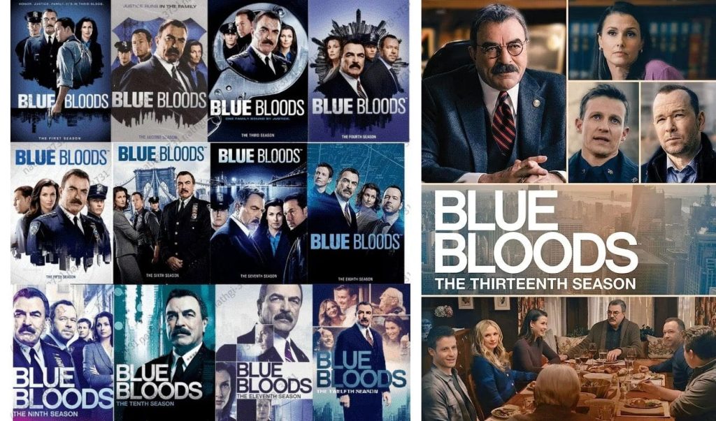 Blue Bloods Series DVD: Complete Series Collection