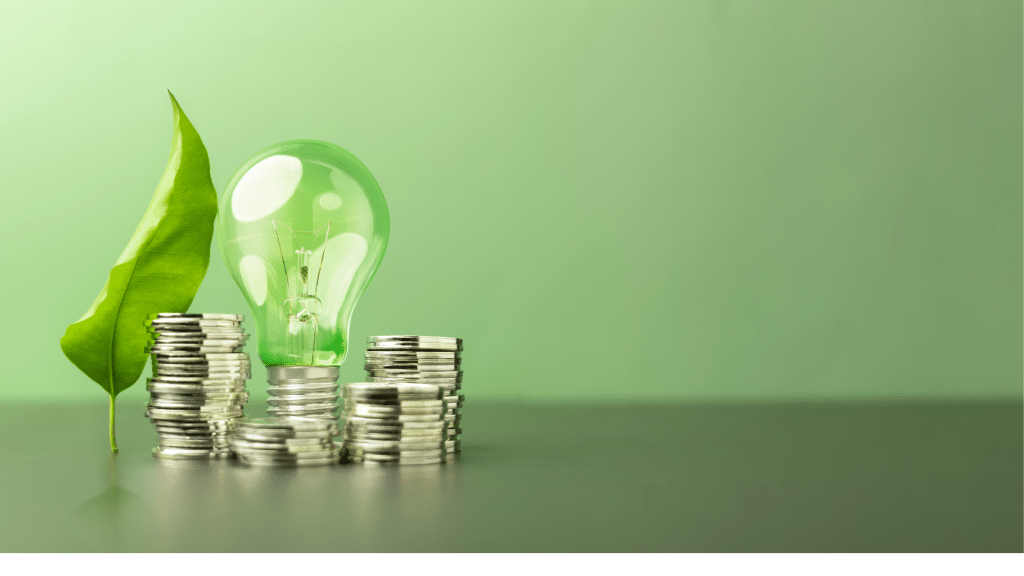 Image 1 of When Business Schools Started Teaching Green: The Academic Impact of 1990s Sustainability Literature