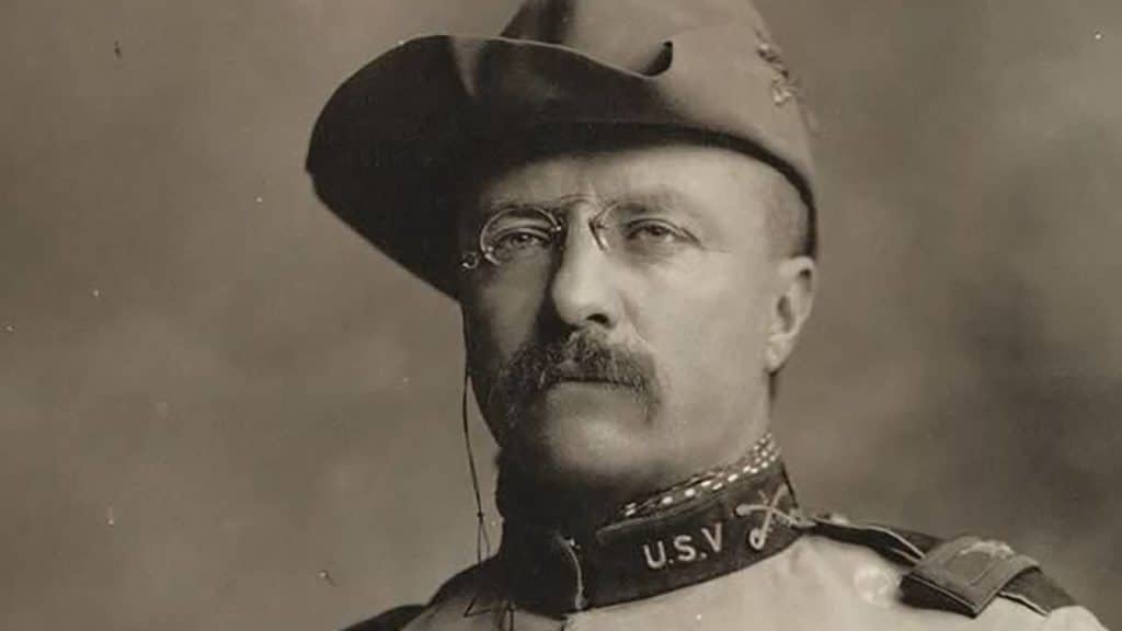 The Roosevelts DVD: Roosevelt Documentary Revealed