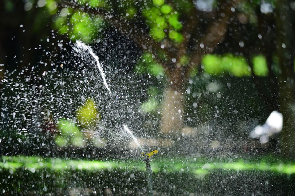 Simple Lawn Watering Tips That Save Time and Money Image 1 of Simple Lawn Watering Tips That Save Time and Money