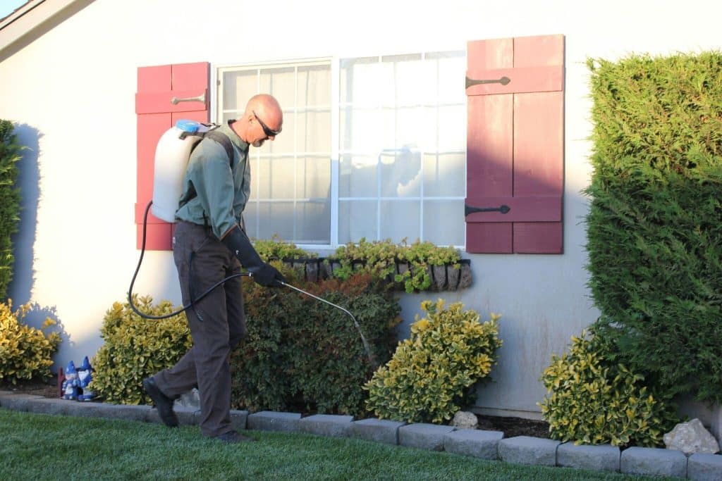5 Things Only A Locally Based Exterminator Can Offer Your Home Image 1 of 5 Things Only A Locally Based Exterminator Can Offer Your Home